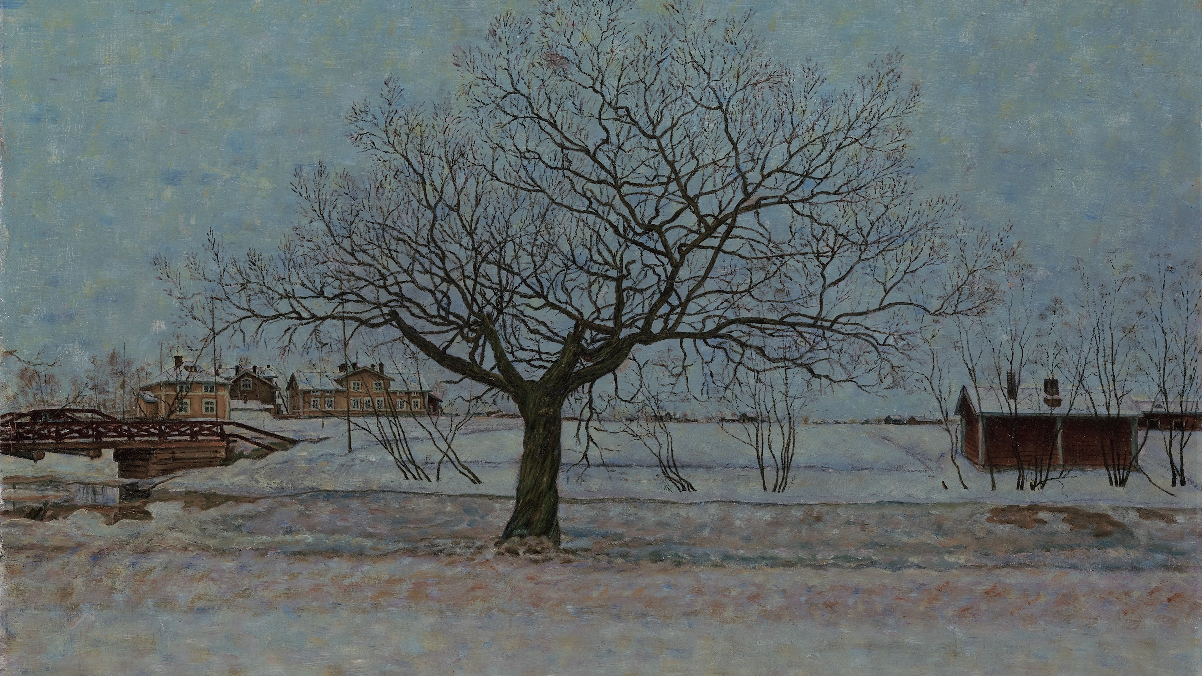 Nordic Winter Solitude